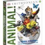 DK: Animal!